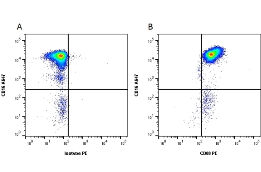 Flow Cytometry - Anti-C5a-R Antibody [P12/1] (PE) (A281527) - Antibodies.com