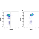 Flow Cytometry - Anti-C5a-R Antibody [P12/1] (PE) (A281527) - Antibodies.com