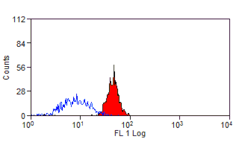 Flow Cytometry - Anti-CD300a Antibody [P192] (FITC) (A281530) - Antibodies.com