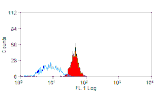 Flow Cytometry - Anti-CD300a Antibody [P192] (FITC) (A281530) - Antibodies.com