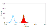 Flow Cytometry - Anti-CD300a Antibody [P192] (A281532) - Antibodies.com