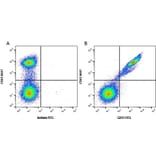 Flow Cytometry - Anti-CD41 Antibody [PM6/248] (FITC) (A281572) - Antibodies.com