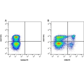 Flow Cytometry - Anti-CD8 beta Antibody [PPT23] (PE) (A281587) - Antibodies.com