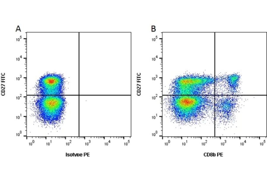 Flow Cytometry - Anti-CD8 beta Antibody [PPT23] (PE) (A281587) - Antibodies.com