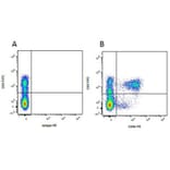 Flow Cytometry - Anti-CD8 beta Antibody [PPT23] (PE) (A281587) - Antibodies.com