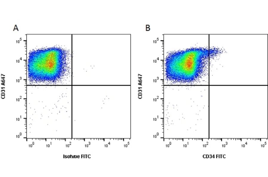 Flow Cytometry - Anti-CD34 Antibody [QBEND/10] (FITC) (A281614) - Antibodies.com