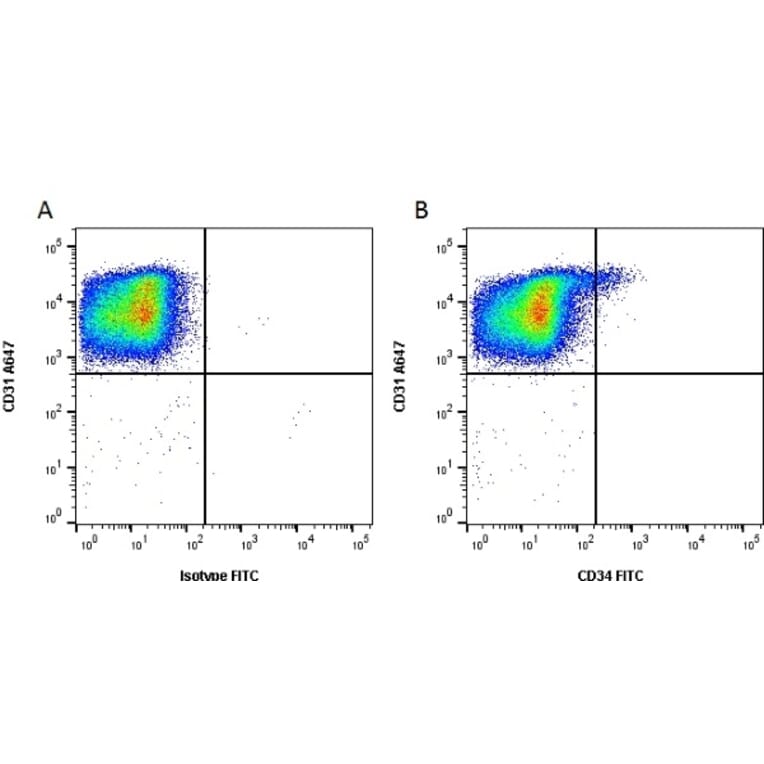 Flow Cytometry - Anti-CD34 Antibody [QBEND/10] (FITC) (A281614) - Antibodies.com
