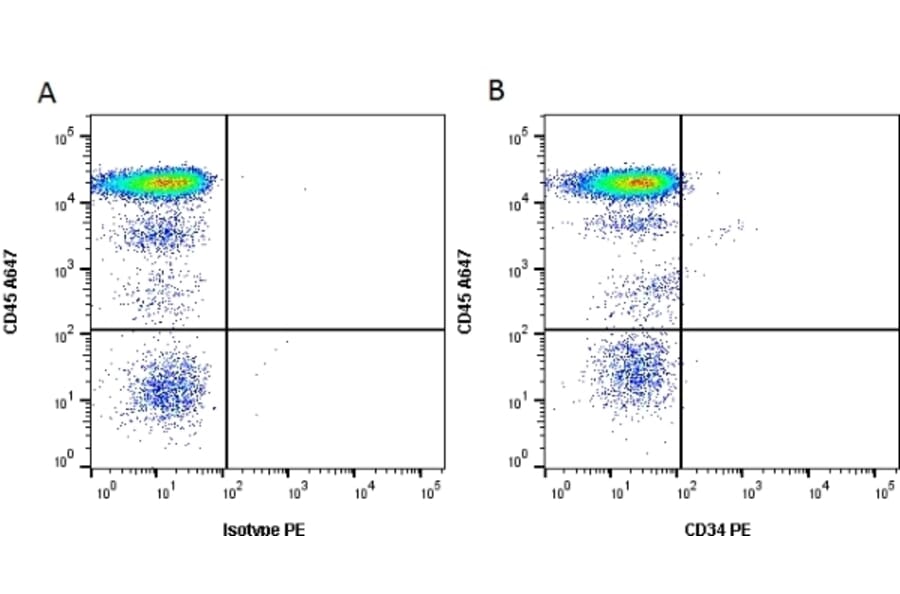 Flow Cytometry - Anti-CD34 Antibody [QBEND/10] (PE) (A281615) - Antibodies.com