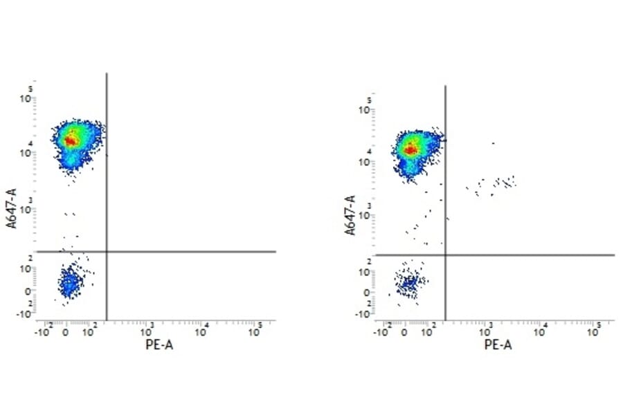 Flow Cytometry - Anti-CD34 Antibody [QBEND/10] (PE) (A281615) - Antibodies.com