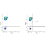 Flow Cytometry - Anti-CD34 Antibody [QBEND/10] (PE) (A281615) - Antibodies.com