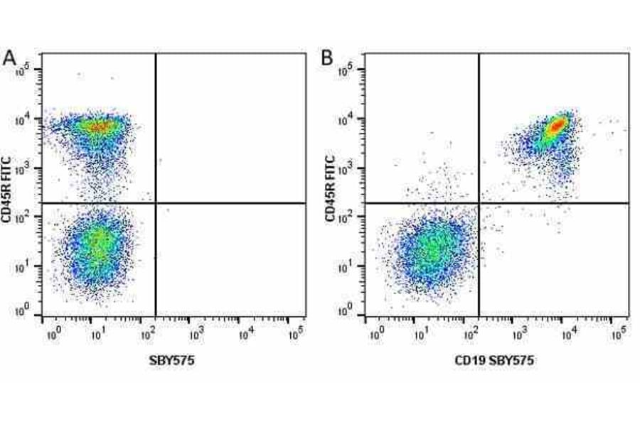 Flow Cytometry - Anti-CD45R Antibody [RA3-6B2] (FITC) (A281643) - Antibodies.com