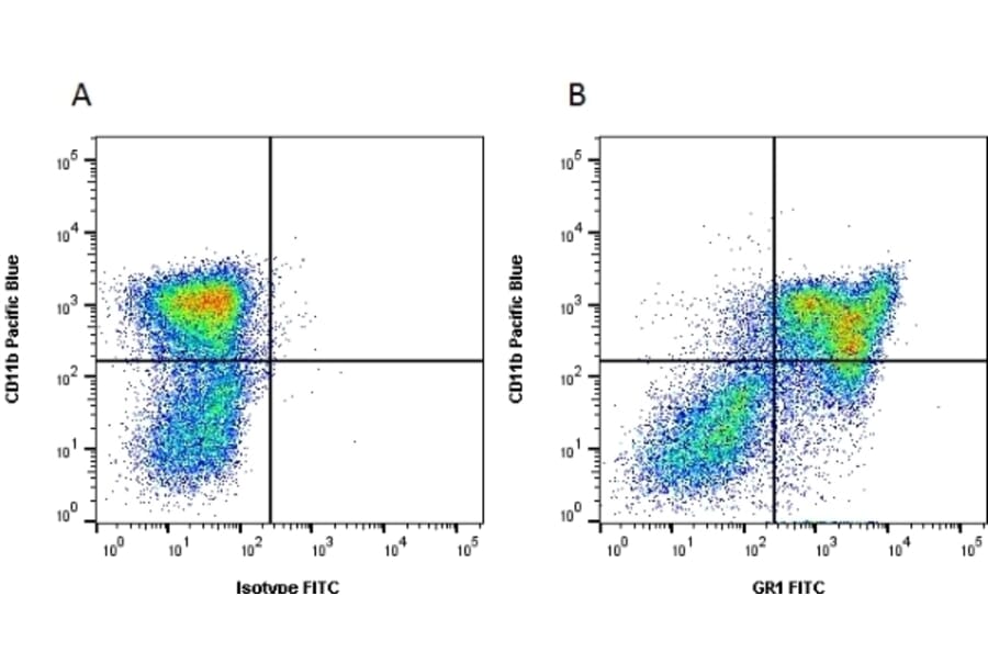 Flow Cytometry - Anti-Ly6g Antibody [RB6-8C5] (FITC) (A281652) - Antibodies.com