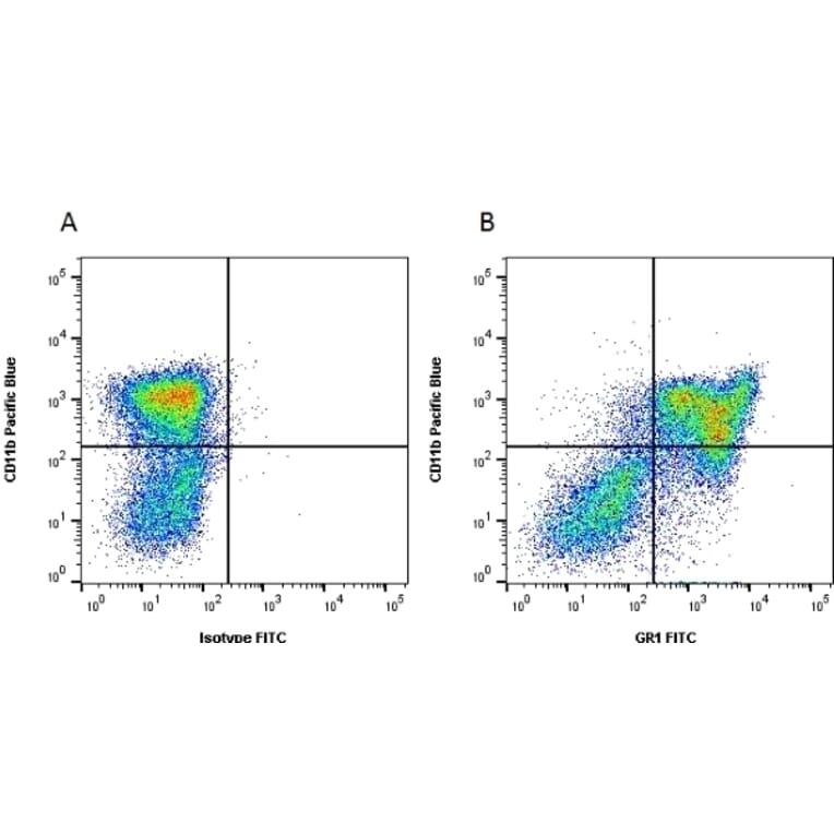 Flow Cytometry - Anti-Ly6g Antibody [RB6-8C5] (FITC) (A281652) - Antibodies.com