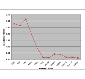 ELISA - Anti-Factor VII Antibody [RFF-VII/1] (A281659) - Antibodies.com