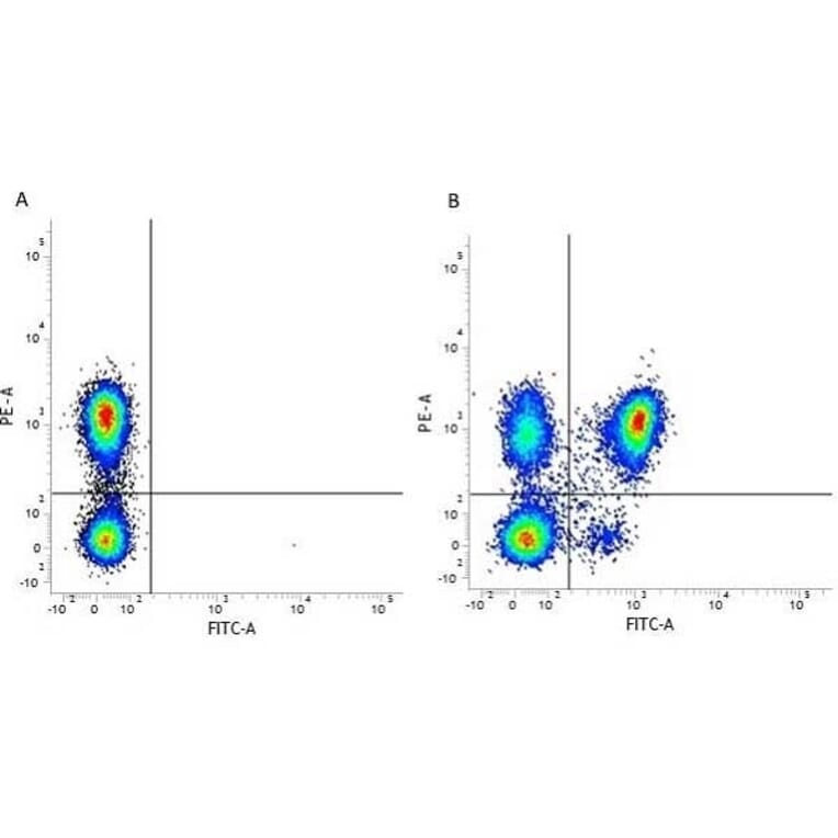 Flow Cytometry - Anti-CD4 Antibody [RPA-T4] (FITC) (A281704) - Antibodies.com