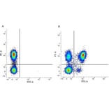 Flow Cytometry - Anti-CD4 Antibody [RPA-T4] (FITC) (A281704) - Antibodies.com