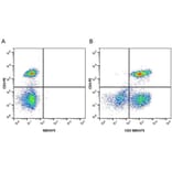 Flow Cytometry - Anti-CD4 Antibody [RPA-T4] (PE) (A281706) - Antibodies.com