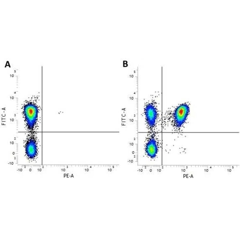 Flow Cytometry - Anti-CD4 Antibody [RPA-T4] (PE) (A281706) - Antibodies.com