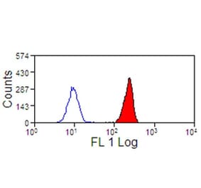 Flow Cytometry - Anti-C5a-R Antibody [S5/1] - BSA and Azide free (A281722) - Antibodies.com
