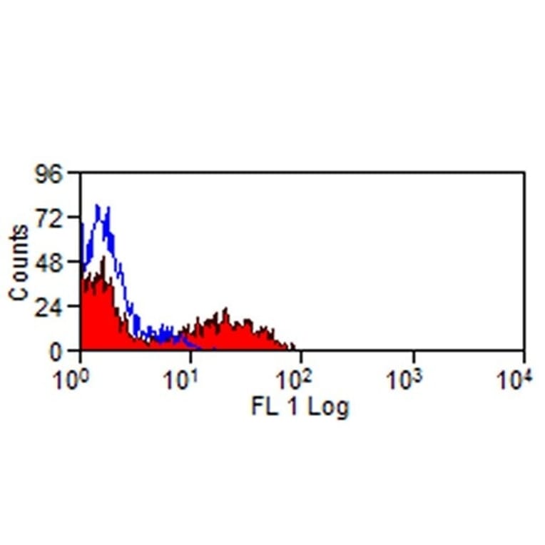 Flow Cytometry - Anti-Siglec 7 Antibody [S7.7] (FITC) (A281724) - Antibodies.com