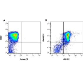 Flow Cytometry - Anti-CD24 Antibody [SN3] (PE) (A281756) - Antibodies.com