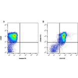 Flow Cytometry - Anti-CD24 Antibody [SN3] (PE) (A281756) - Antibodies.com