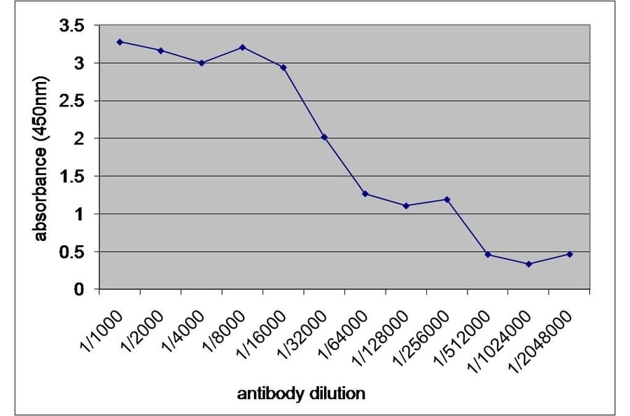 Western Blot - Anti-V5 Tag Antibody [SV5-Pk1] (A281784) - Antibodies.com