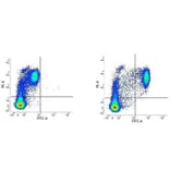 Flow Cytometry - Anti-CD14 Antibody [UCHM1] (FITC) (A281873) - Antibodies.com