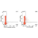 Flow Cytometry - Anti-NCR1 Antibody [VIV-KM1] (A281923) - Antibodies.com