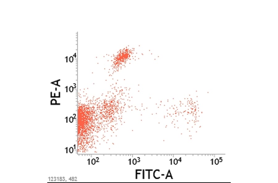 Flow Cytometry - Anti-CD8 alpha/beta Antibody [vpg9] (A281929) - Antibodies.com
