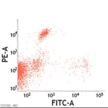 Flow Cytometry - Anti-CD8 alpha/beta Antibody [vpg9] (A281929) - Antibodies.com
