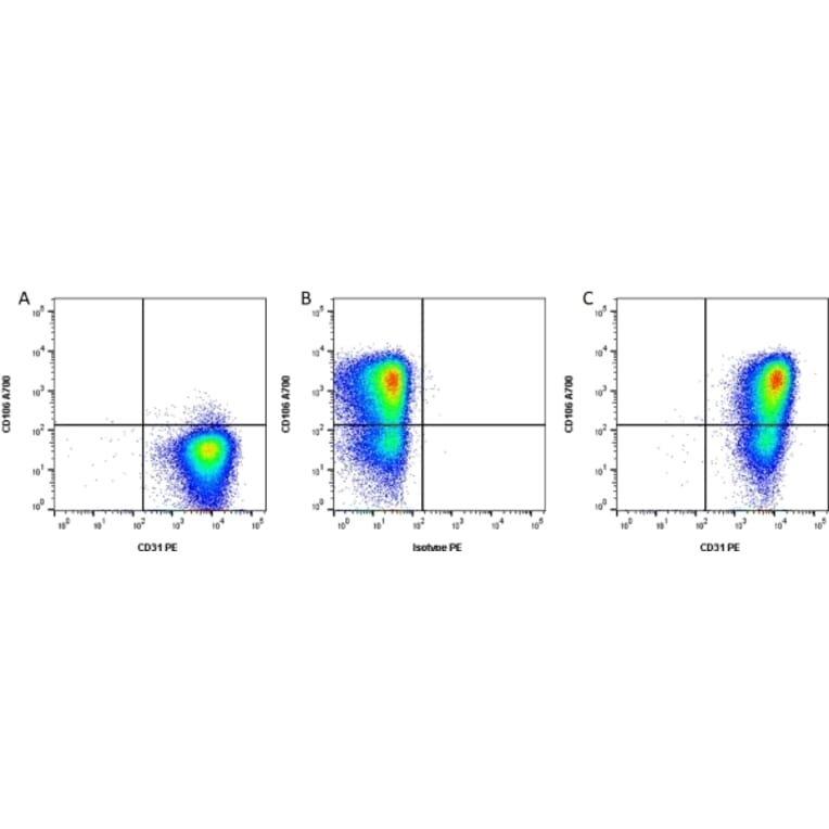 Flow Cytometry - Anti-CD31 Antibody [WM59] (PE) (A281986) - Antibodies.com