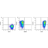 Flow Cytometry - Anti-CD31 Antibody [WM59] (PE) (A281986) - Antibodies.com