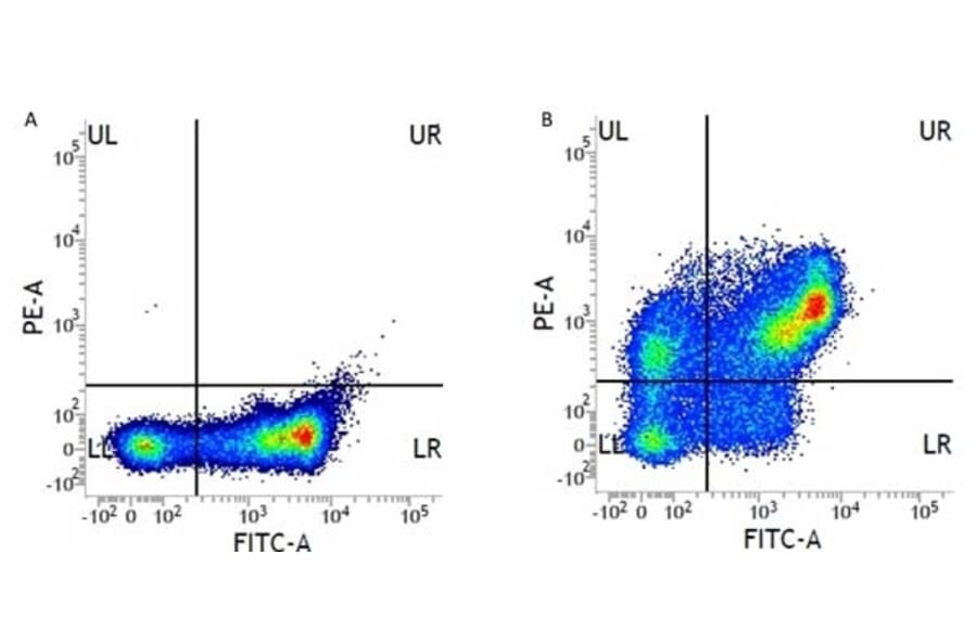 Flow Cytometry - Anti-CD31 Antibody [WM59] (PE) (A281986) - Antibodies.com