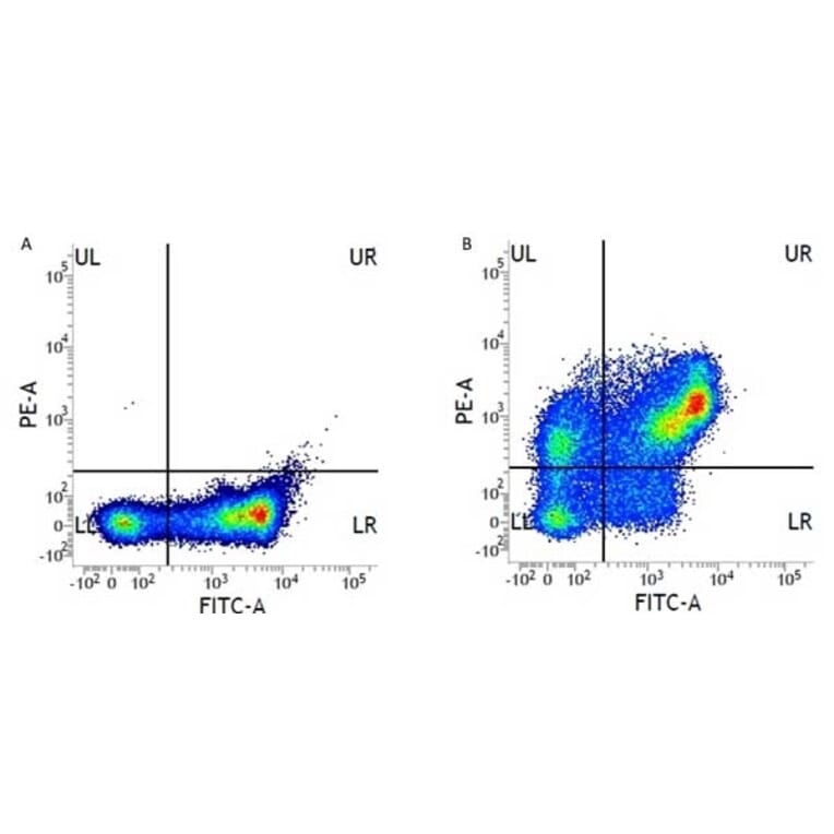 Flow Cytometry - Anti-CD31 Antibody [WM59] (PE) (A281986) - Antibodies.com