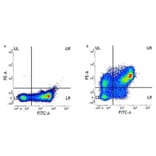 Flow Cytometry - Anti-CD31 Antibody [WM59] (PE) (A281986) - Antibodies.com
