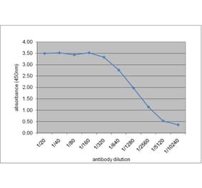 ELISA - Anti-Apolipoprotein E Antibody [WUE-4] (A282003) - Antibodies.com