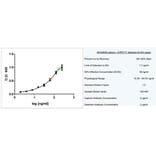 ELISA - Anti-Apolipoprotein E Antibody [WUE-4] (A282003) - Antibodies.com