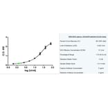 ELISA - Anti-MUC16 Antibody [X325] (A282007) - Antibodies.com