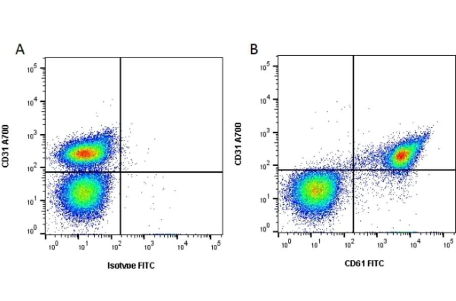 Flow Cytometry - Anti-Integrin beta 3 Antibody [Y2/51] (FITC) (A282015) - Antibodies.com