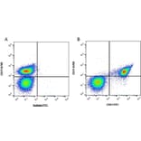 Flow Cytometry - Anti-Integrin beta 3 Antibody [Y2/51] (FITC) (A282015) - Antibodies.com