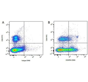 Flow Cytometry - Anti-CD8 Antibody [YCATE55.9] (FITC) (A282025) - Antibodies.com