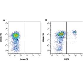 Flow Cytometry - Anti-CD8 Antibody [YCATE55.9] (PE) (A282026) - Antibodies.com