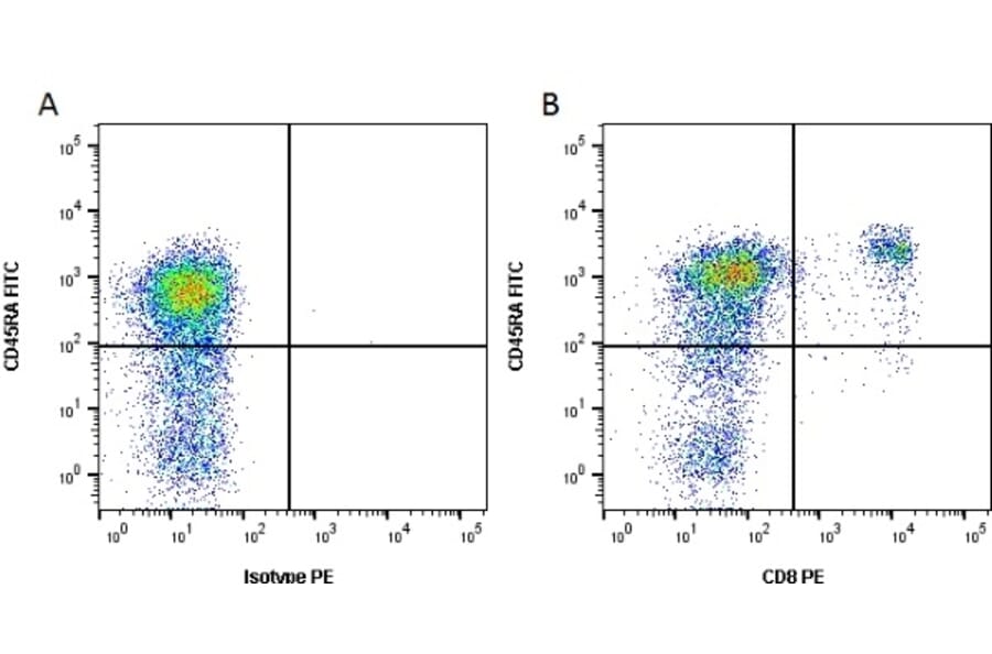 Flow Cytometry - Anti-CD8 Antibody [YCATE55.9] (PE) (A282026) - Antibodies.com