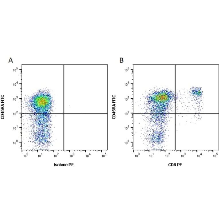 Flow Cytometry - Anti-CD8 Antibody [YCATE55.9] (PE) (A282026) - Antibodies.com
