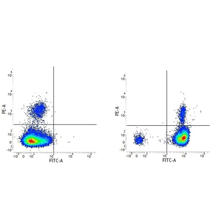 Flow Cytometry - Anti-CD18 Antibody [YFC118.3] (FITC) (A282033) - Antibodies.com