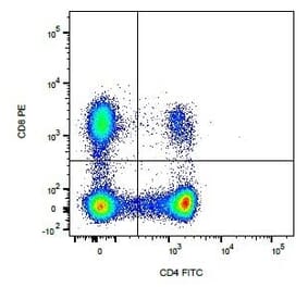 Flow Cytometry - Anti-CD4 Antibody [YIX302.9] (FITC) / Anti-CD8 Antibody [YCATE55.9] (PE) (A282045) - Antibodies.com