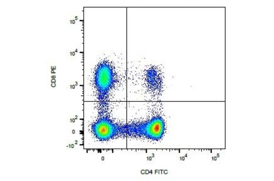 Flow Cytometry - Anti-CD4 Antibody [YIX302.9] (FITC) / Anti-CD8 Antibody [YCATE55.9] (PE) (A282045) - Antibodies.com