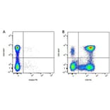 Flow Cytometry - Anti-CD5 Antibody [YKIX322.3] (PE) (A282048) - Antibodies.com