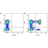 Flow Cytometry - Anti-CD5 Antibody [YKIX322.3] (PE) (A282048) - Antibodies.com
